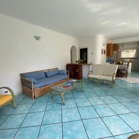 Le Dimore Di Zaro - Green Paradise Forio di Ischia Szoba fotó