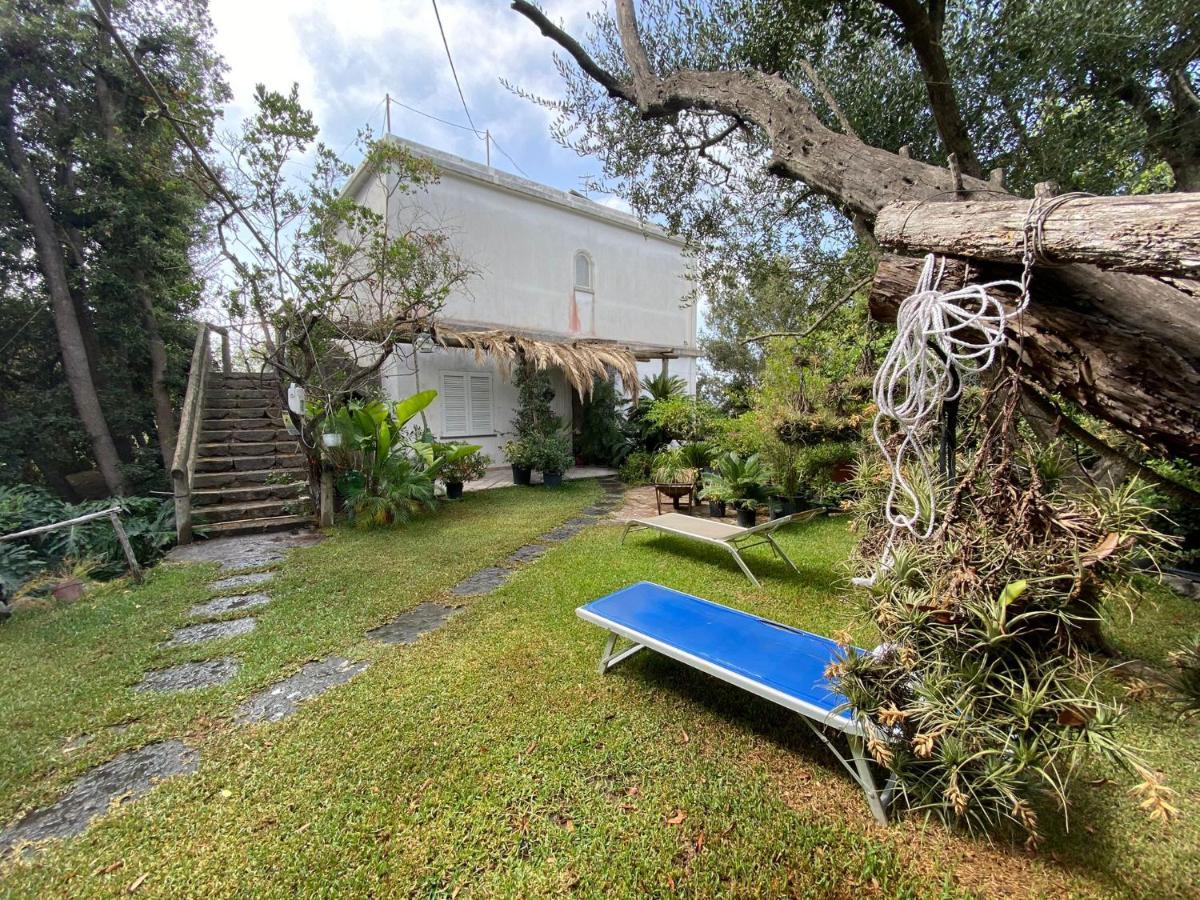 Le Dimore Di Zaro - Green Paradise Forio di Ischia Kültér fotó