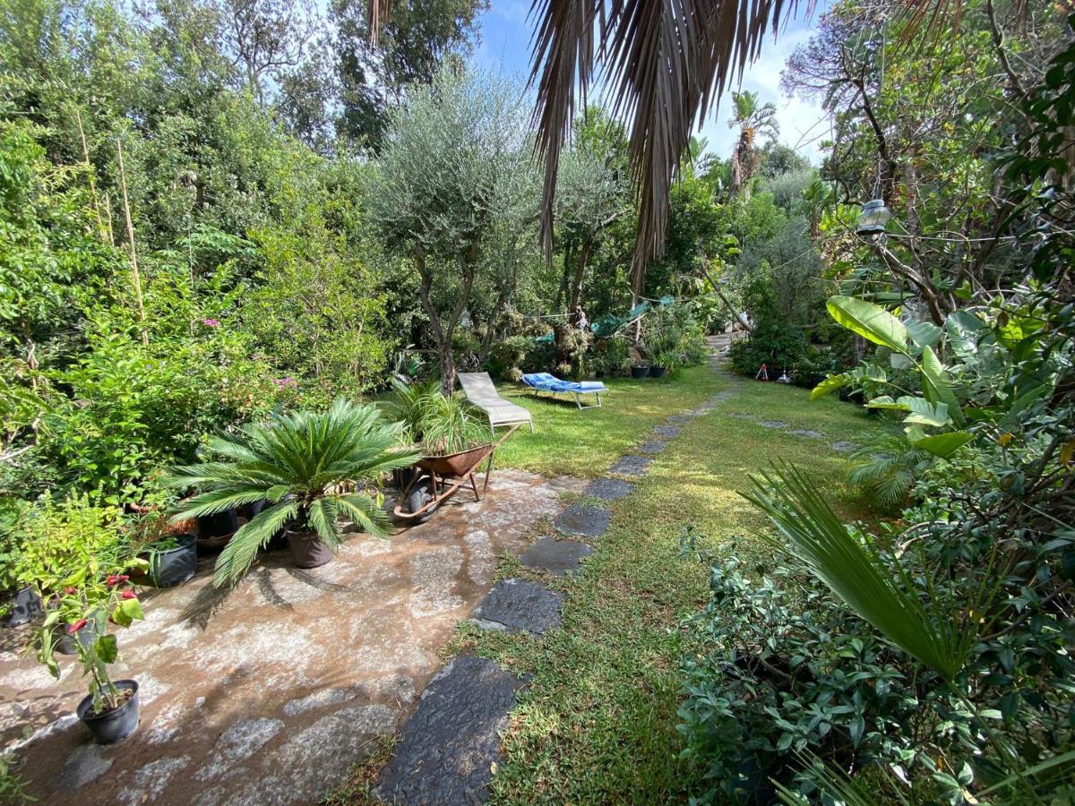 Le Dimore Di Zaro - Green Paradise Forio di Ischia Kültér fotó