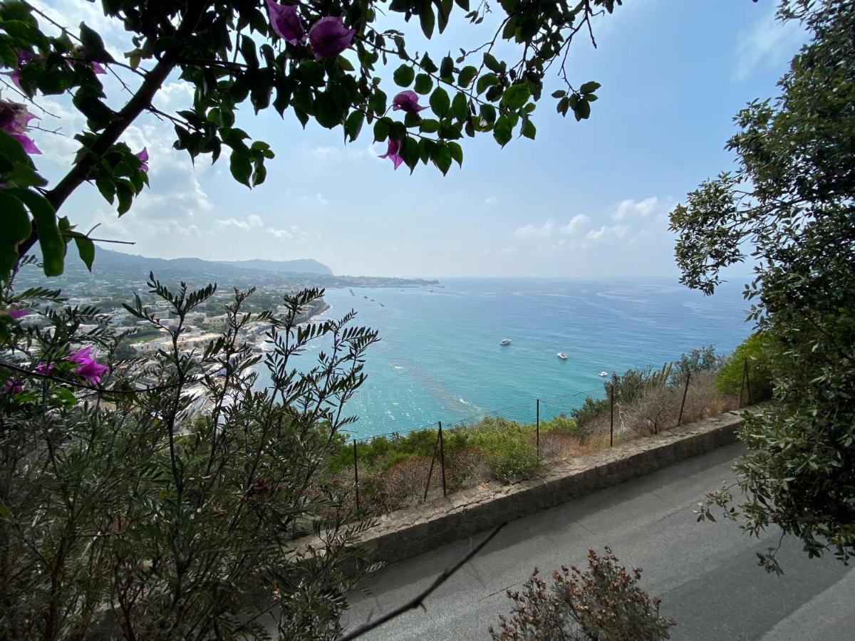 Le Dimore Di Zaro - Green Paradise Forio di Ischia Kültér fotó