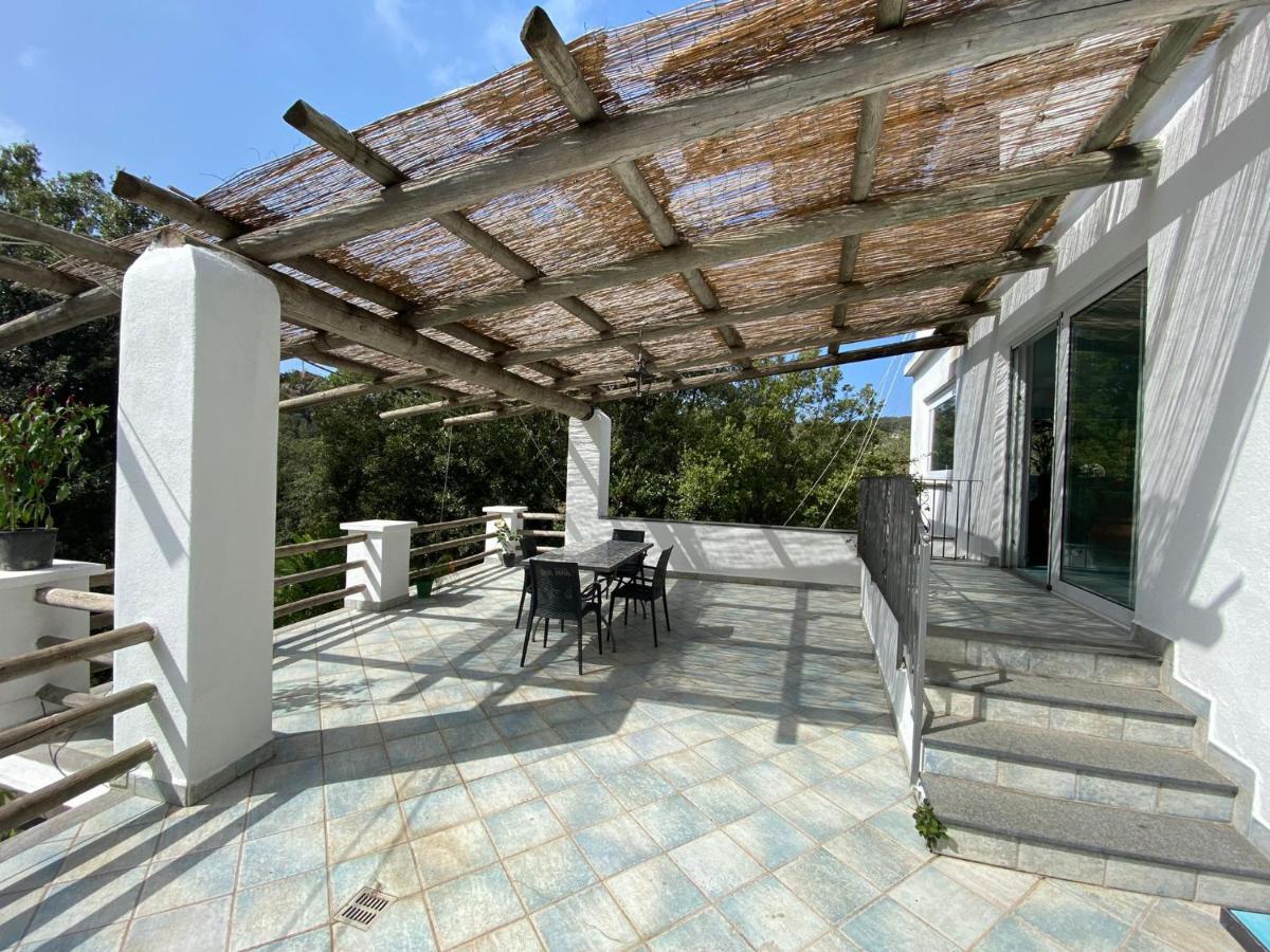 Le Dimore Di Zaro - Green Paradise Forio di Ischia Kültér fotó