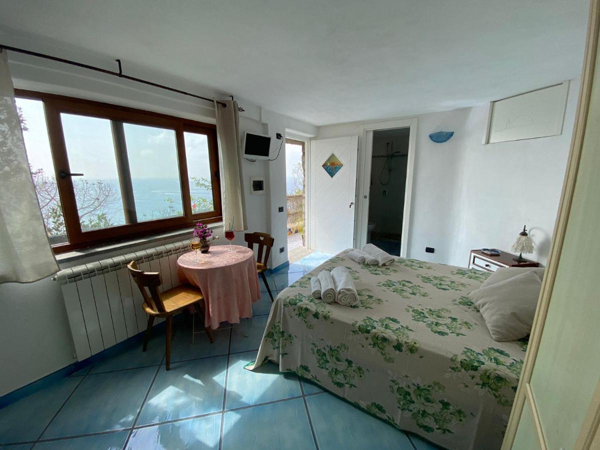 Le Dimore Di Zaro - Green Paradise Forio di Ischia Kültér fotó
