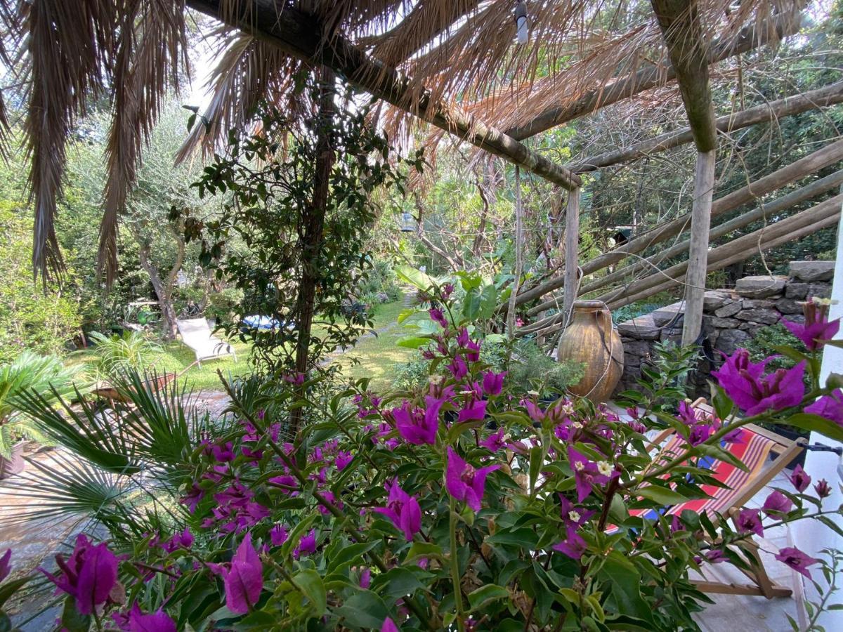 Le Dimore Di Zaro - Green Paradise Forio di Ischia Kültér fotó