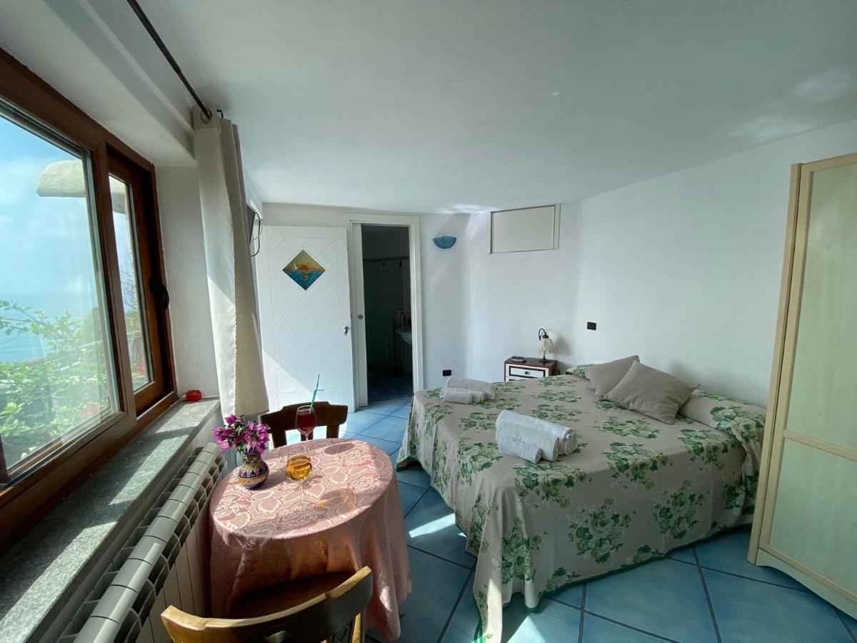 Le Dimore Di Zaro - Green Paradise Forio di Ischia Kültér fotó