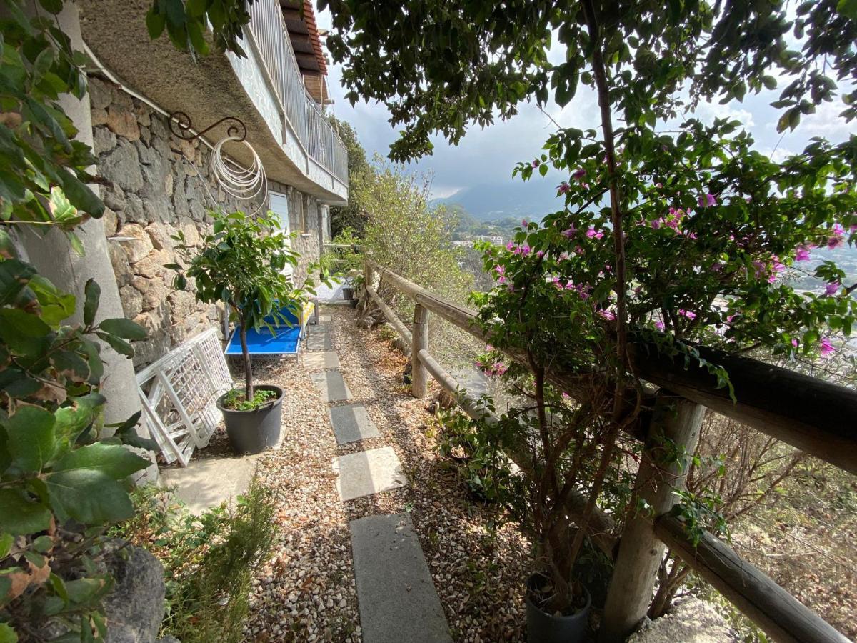 Le Dimore Di Zaro - Green Paradise Forio di Ischia Kültér fotó
