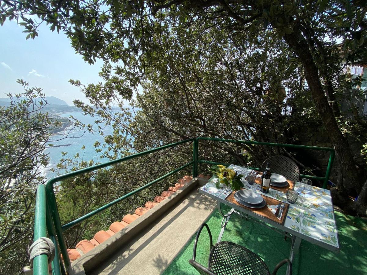 Le Dimore Di Zaro - Green Paradise Forio di Ischia Kültér fotó