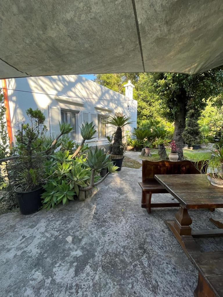 Le Dimore Di Zaro - Green Paradise Forio di Ischia Kültér fotó