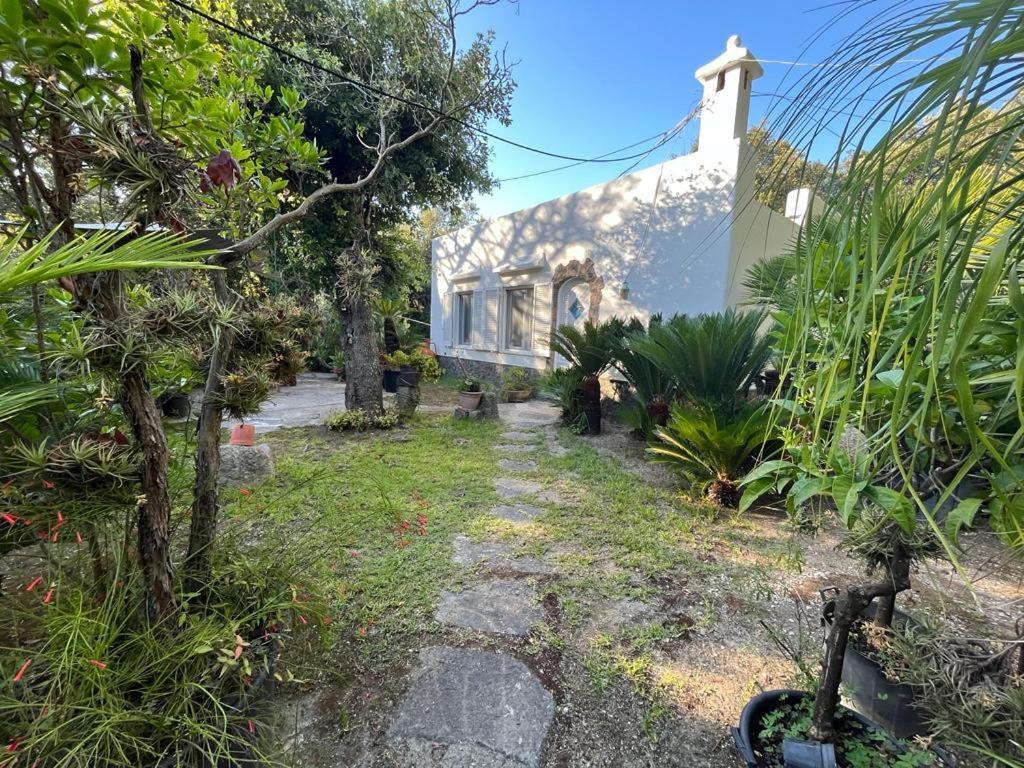 Le Dimore Di Zaro - Green Paradise Forio di Ischia Kültér fotó