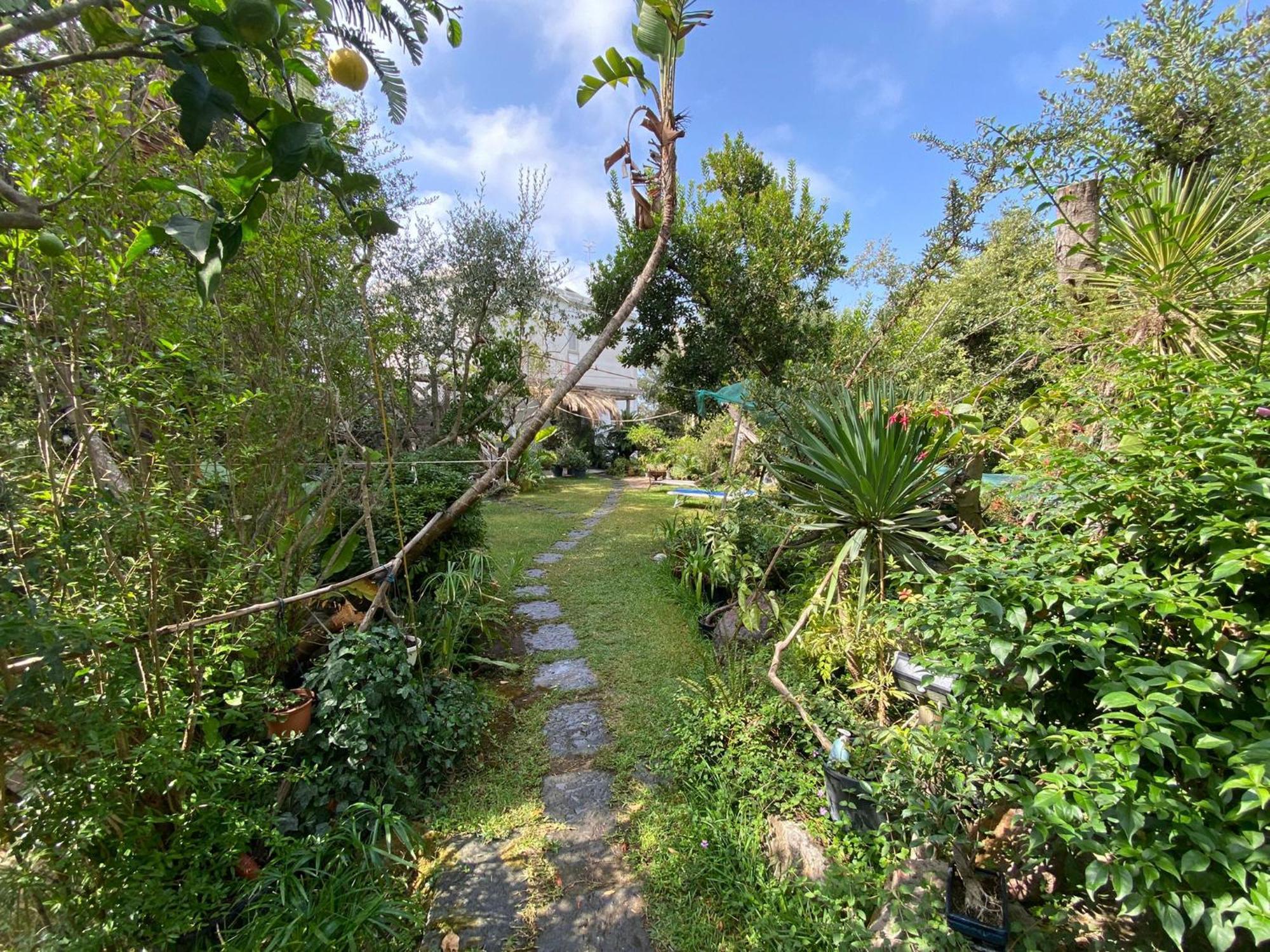 Le Dimore Di Zaro - Green Paradise Forio di Ischia Szoba fotó