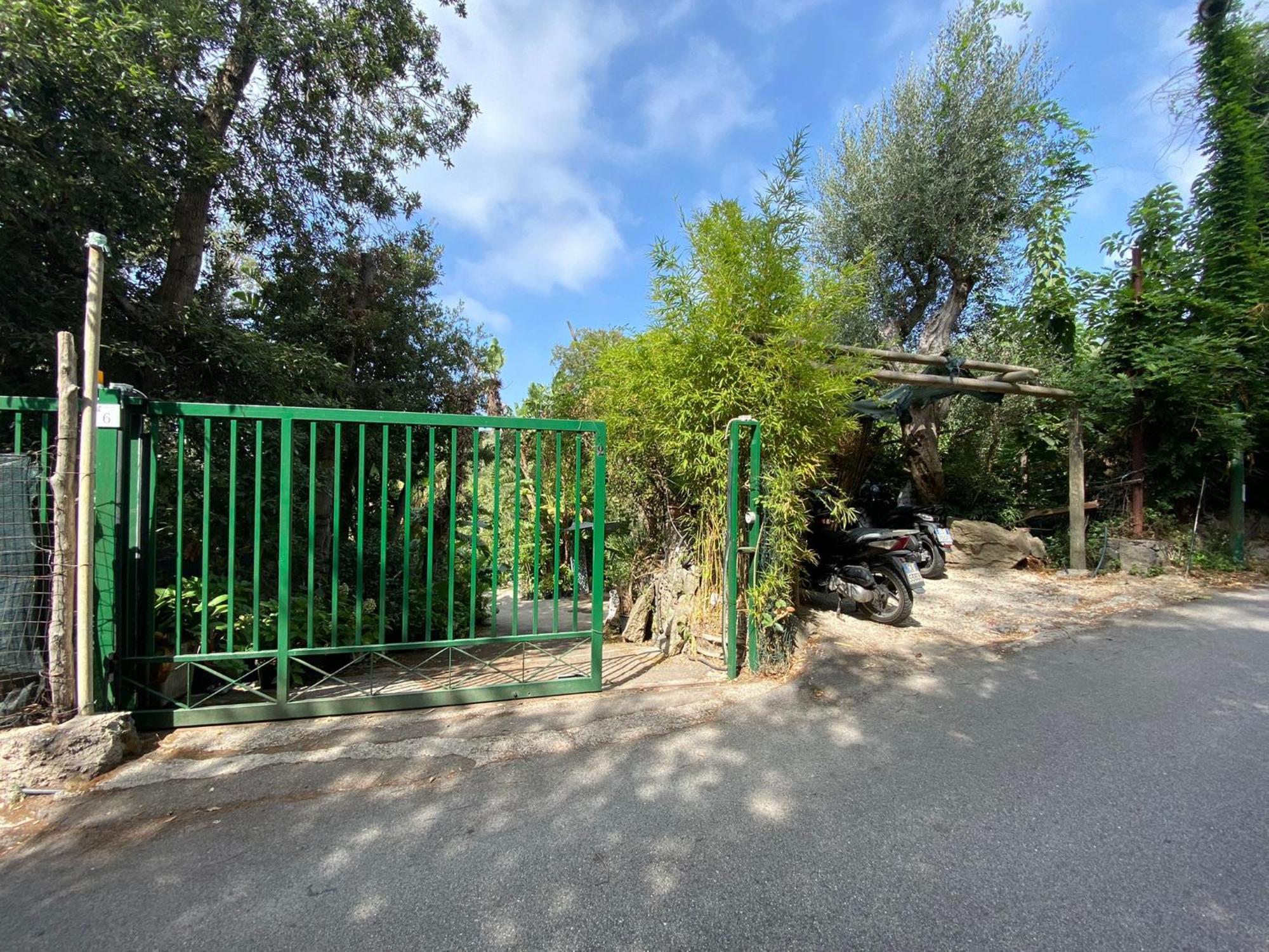 Le Dimore Di Zaro - Green Paradise Forio di Ischia Szoba fotó