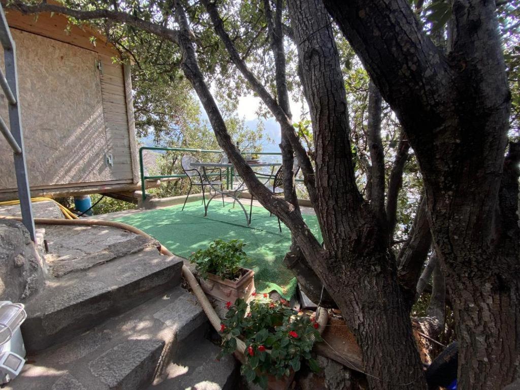 Le Dimore Di Zaro - Green Paradise Forio di Ischia Kültér fotó