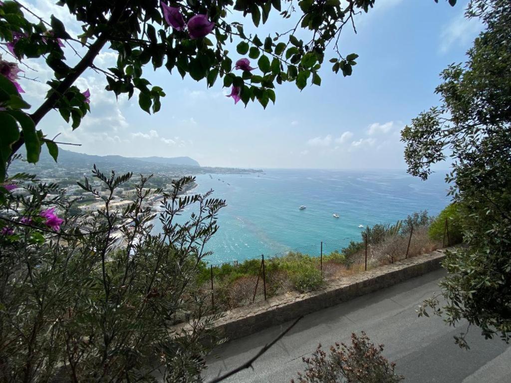 Le Dimore Di Zaro - Green Paradise Forio di Ischia Kültér fotó
